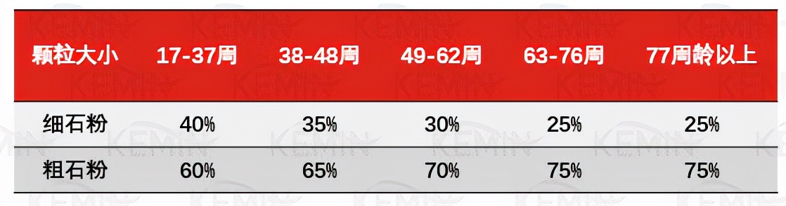 鸡蛋壳质量为什么会变差？怎么解决？看这一篇全明白了