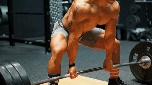 除去鍛鍊之外，該如何提高你的肌肉質量？
