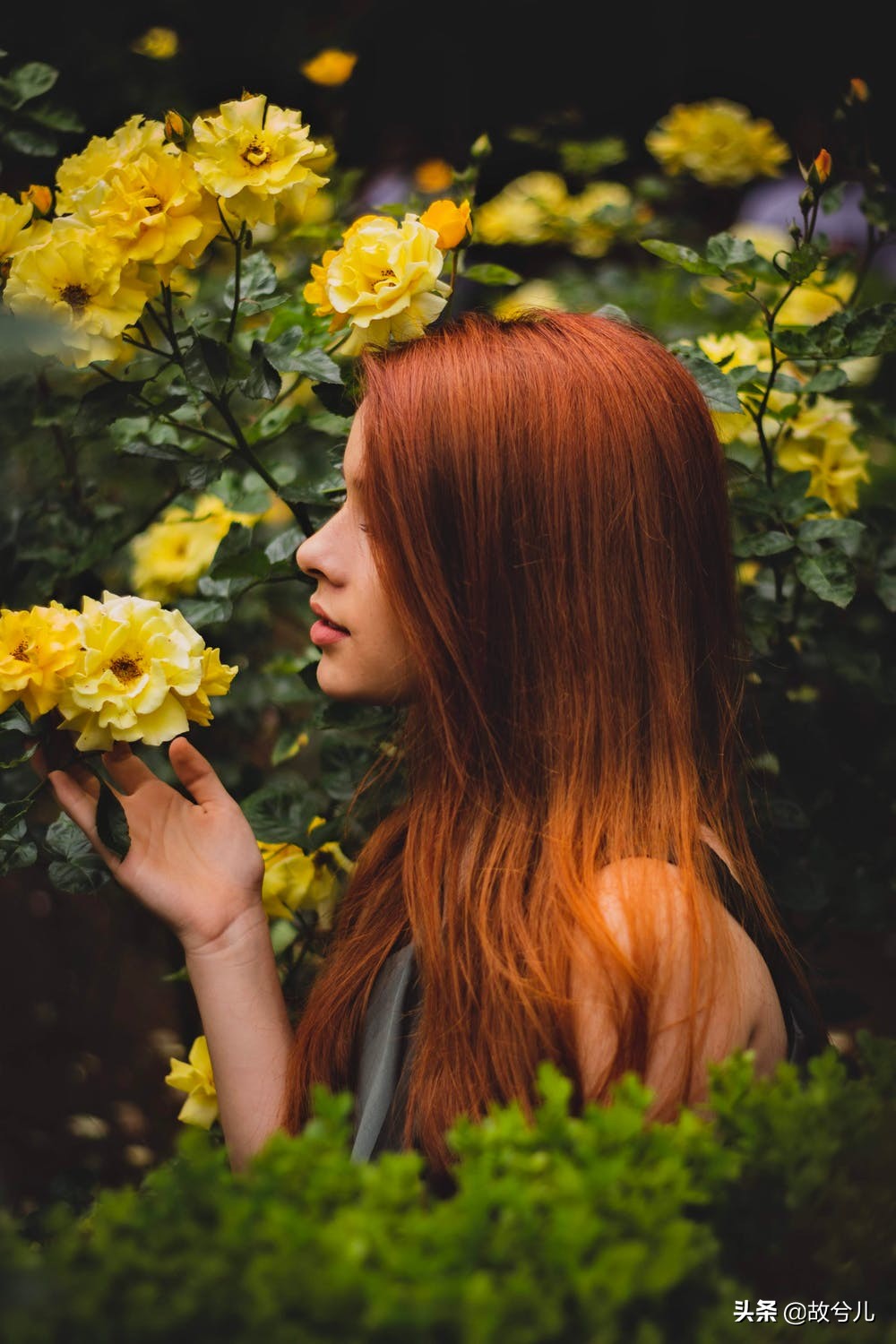 "性格开朗"和"内秀端庄",娶妻你会选择哪种女人?