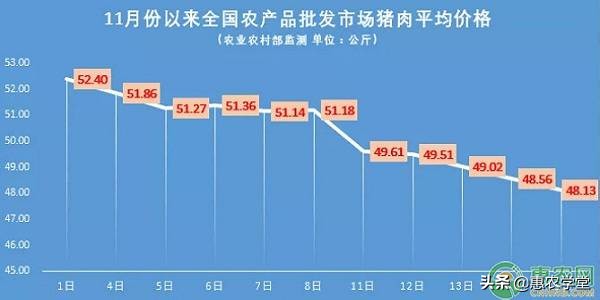 11月19日全国生猪价格最新行情：猪肉价格逐步稳定