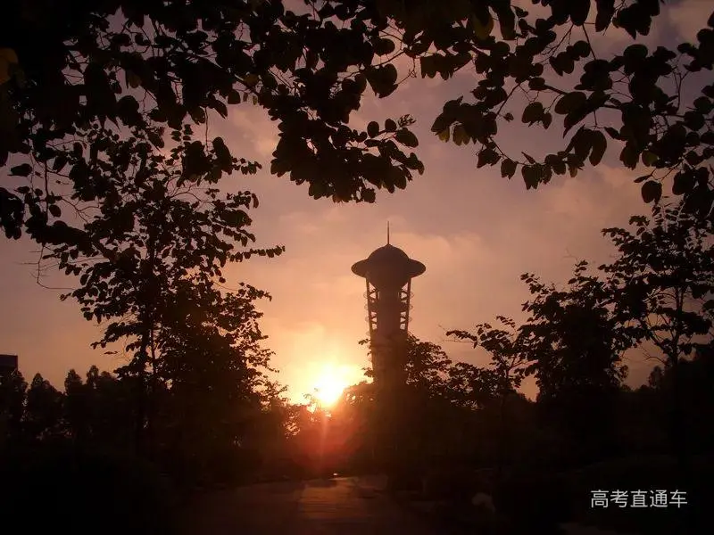 2021中国最好专科排名重磅出炉，深职输了？