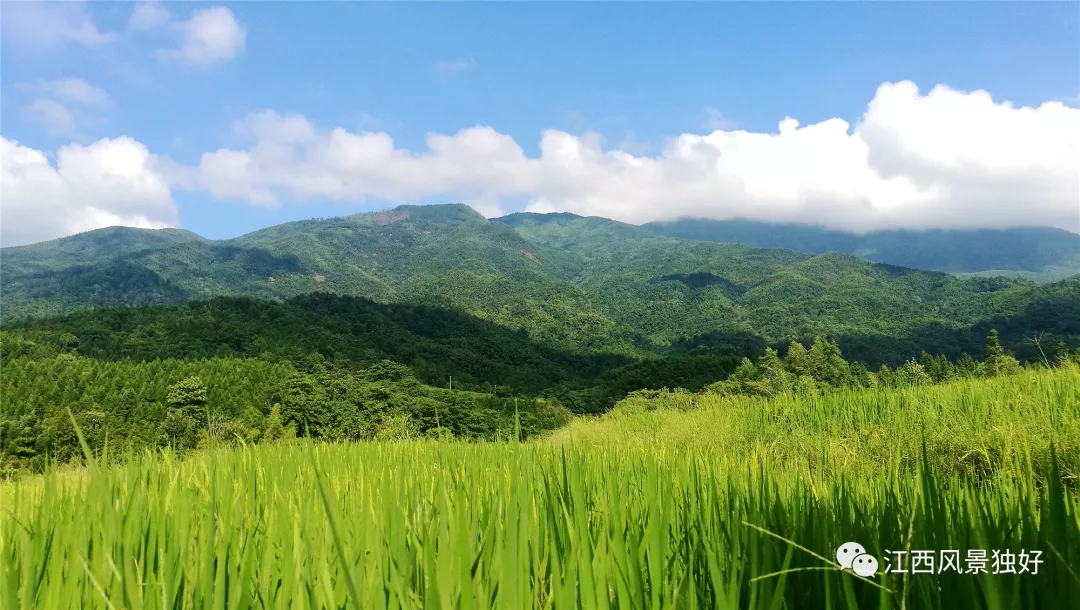 朱 虹：江西十景 美轮美奂（二）