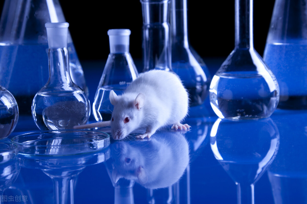 洋葱的降压作用有多少？能替代降压药吗？心血管医生告诉你