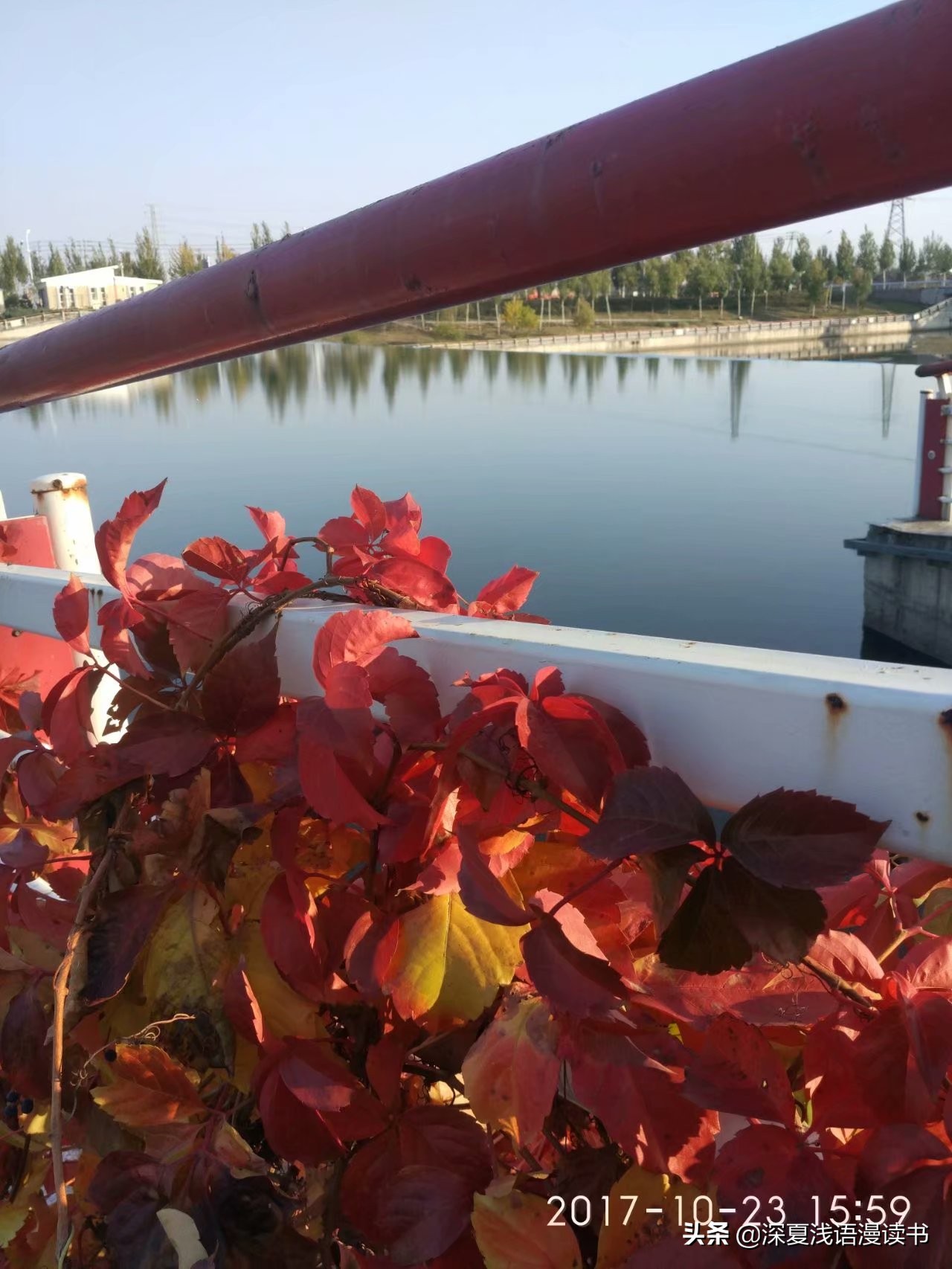 高中记6：开学一个月消费记录，花钱如流水的高中生活