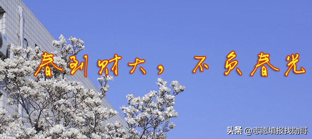 一本压线生，最值得报的6所二本大学，专业实力强！录上比一本牛