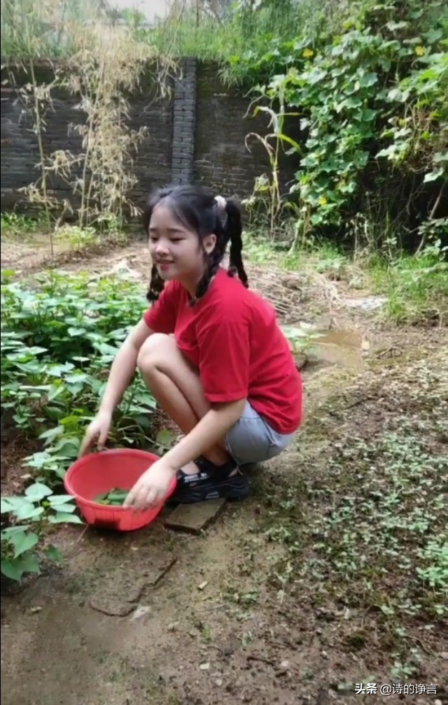 夏日水清凉，新鲜蔬菜嫩而香