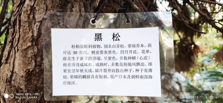 陪你一起看湖北省广水一中①——走进植物王国