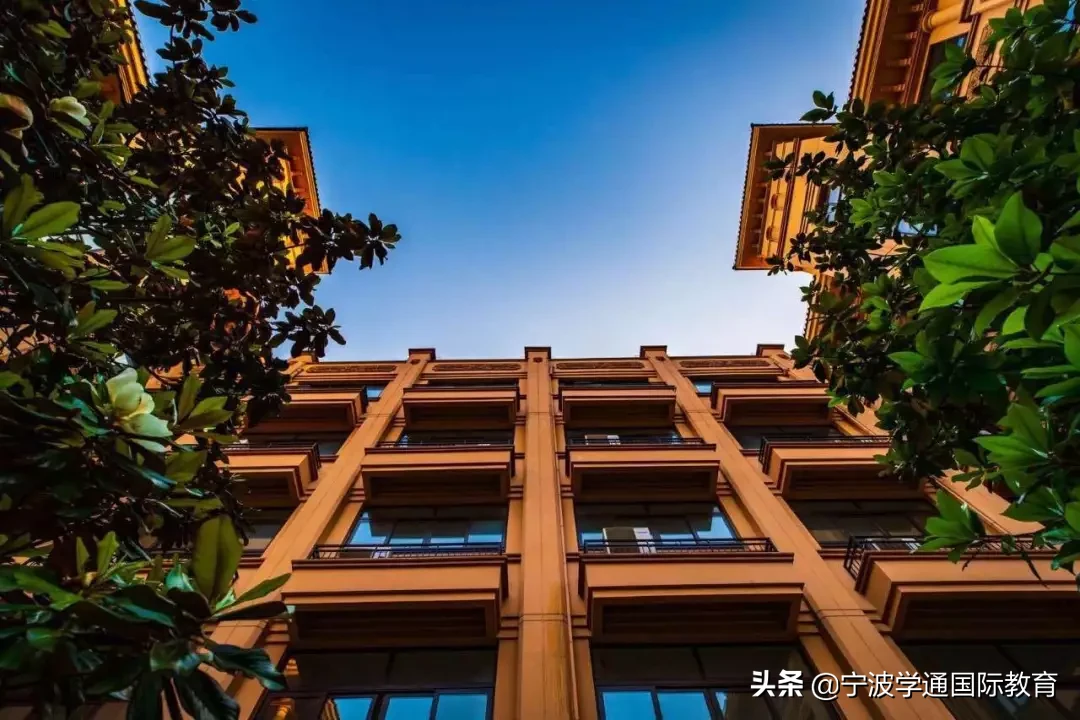 已定！七德、位育、WLSA、领科等热门国际学校线上招生时间更新