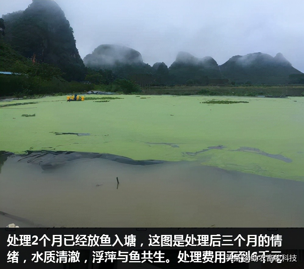 大面积养殖废水用养殖场污水生物处理剂短时间处理技术