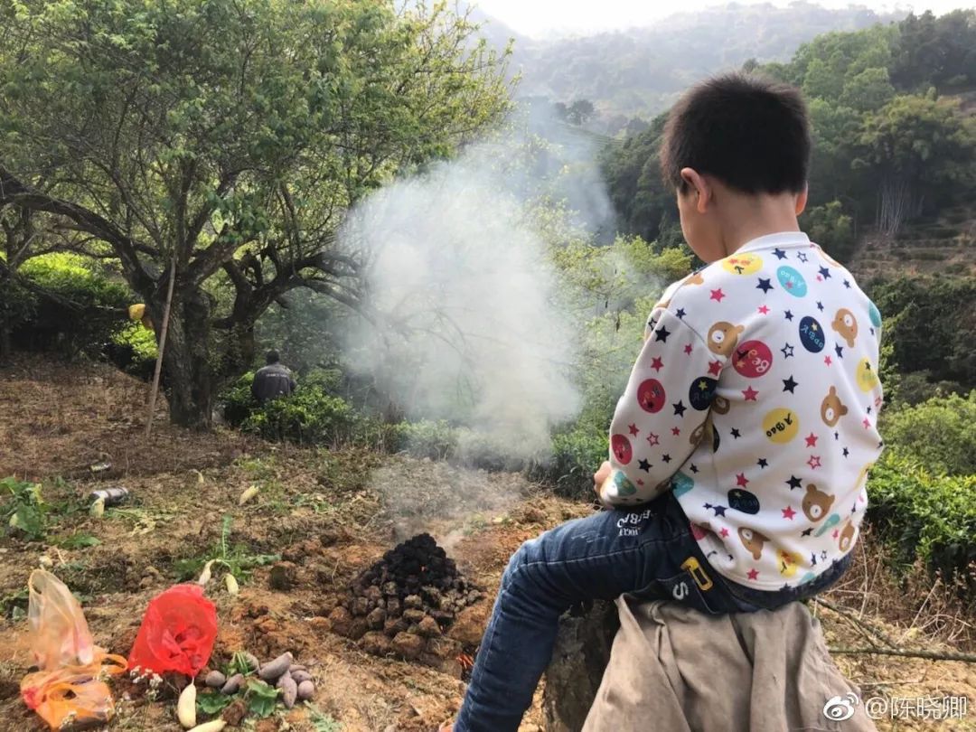 陈晓卿｜所谓美食，不过是一次又一次的相逢