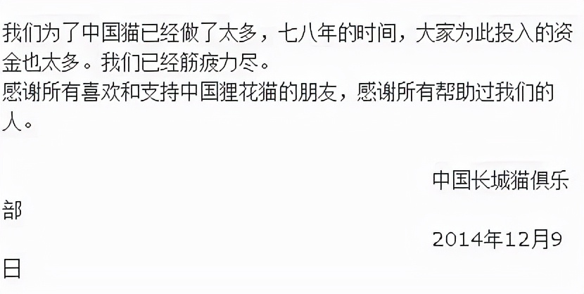 被CFA认证除名的中国狸花猫，到底有多优秀