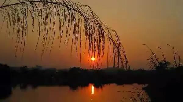 晚风拂来吟盛夏,一抹夕阳醉晚霞