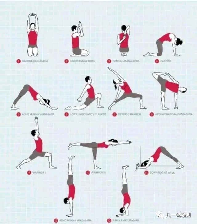 教培课才会教的内容：瑜伽老师的排课技巧和步骤（附多张实例图）