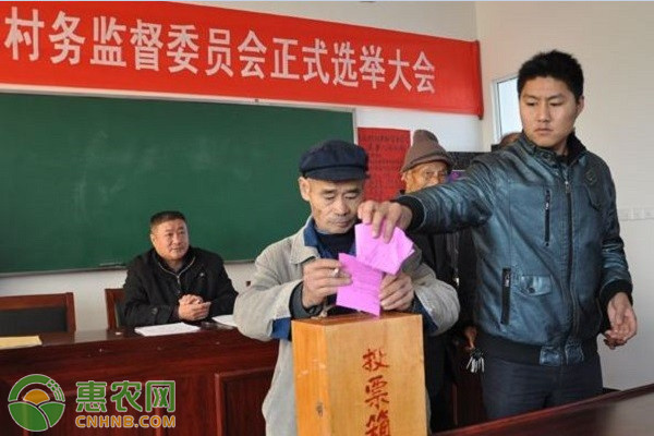 什么是村两委？几年换一届？2021村两委换届选举最新规定