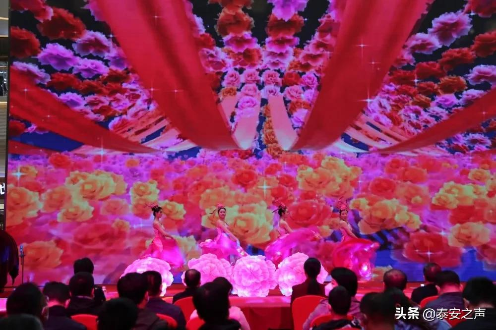 文化泰安 多彩生活 | 群众文化生活满意度提升攻坚在行动(一)——文化活动篇