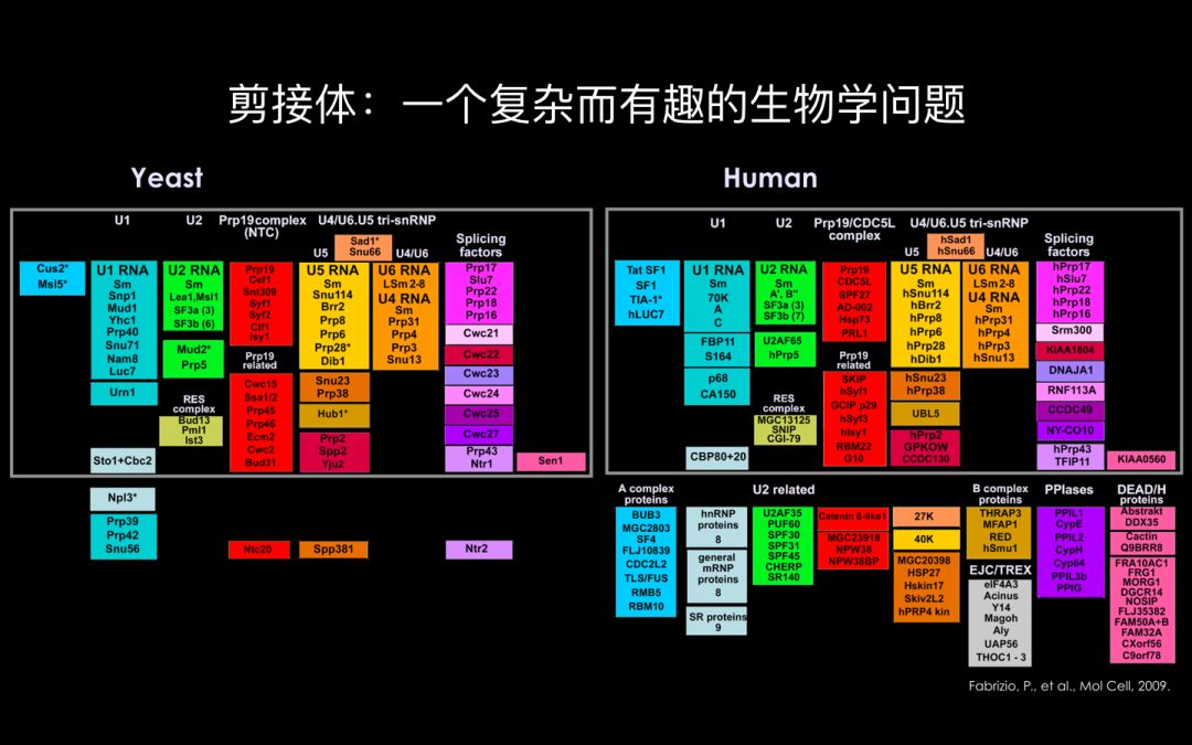 未来女科学家万蕊雪：生命的奥秘和宇宙的奥秘，都是很重要的事情