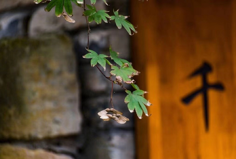 《朱子家训》10句格言，饱含人生智慧！