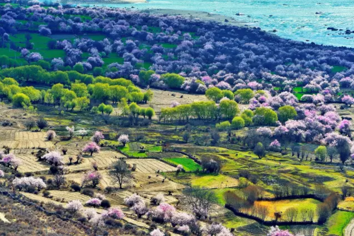 春天，就该去林芝看桃花开成海