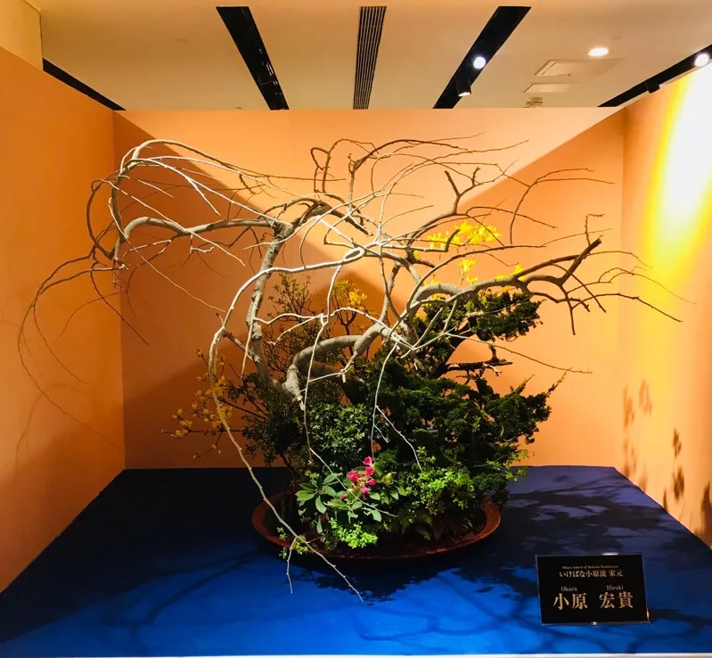 《小原流花道证书课程》