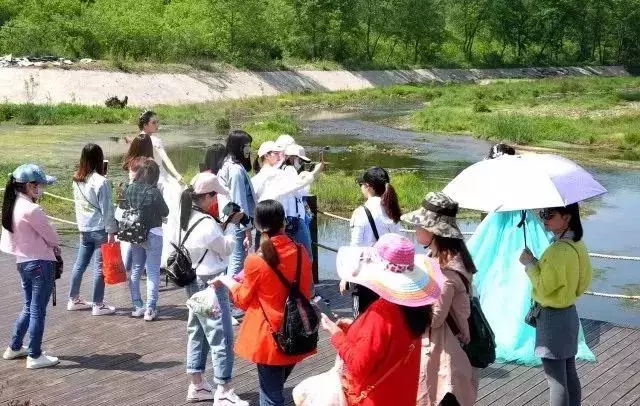 三月踏青最佳赏樱花之地,信阳这个aaaa景区免门票!
