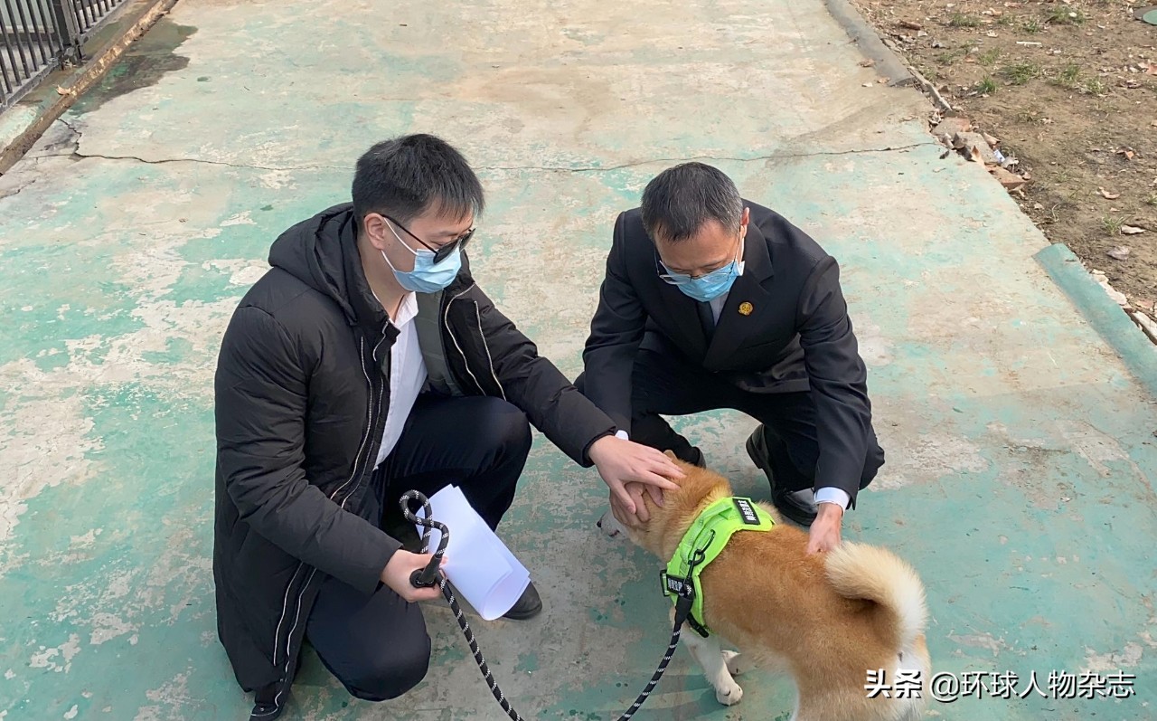 松獅價錢,松獅價格是多少一只