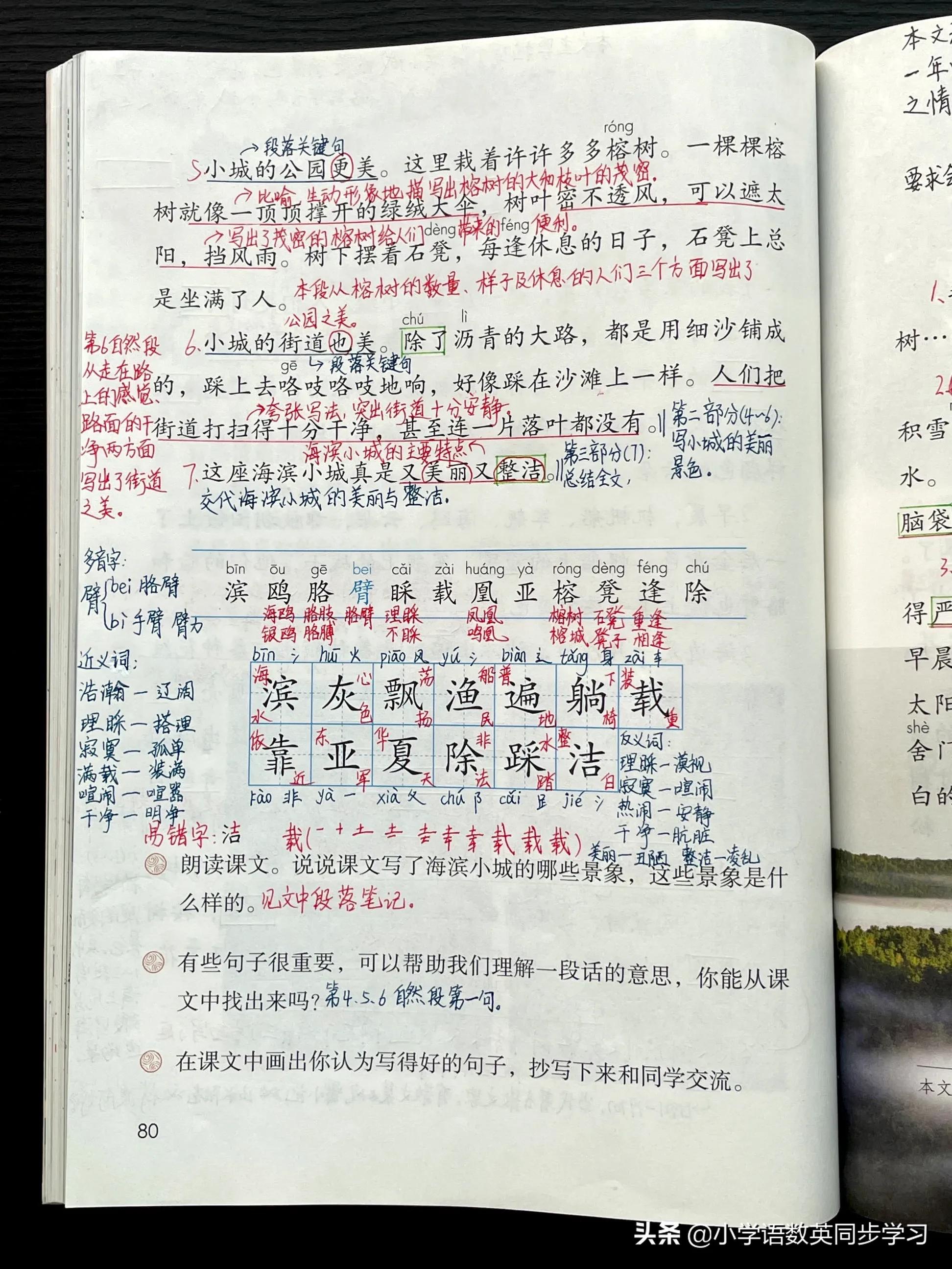 小学语文三年级上册第19课《海滨小城》教师笔记