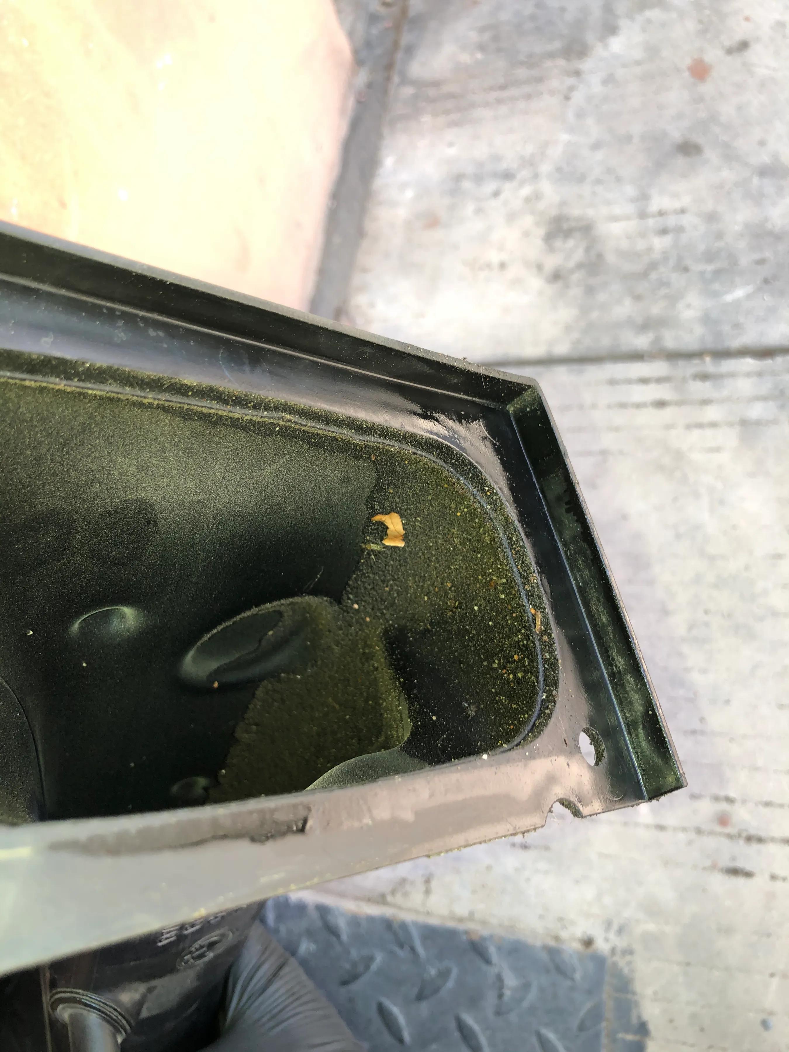 宝马拿铁清洗kn空滤