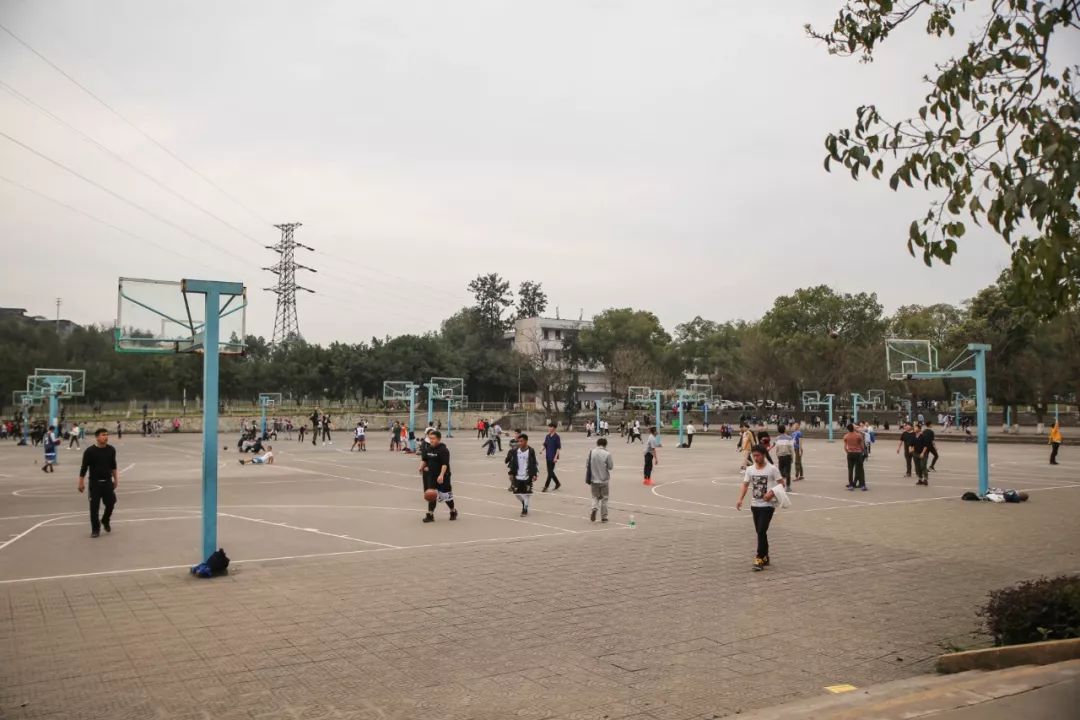 期待！宜宾职业技术学院要搬啦，拟选址南溪...