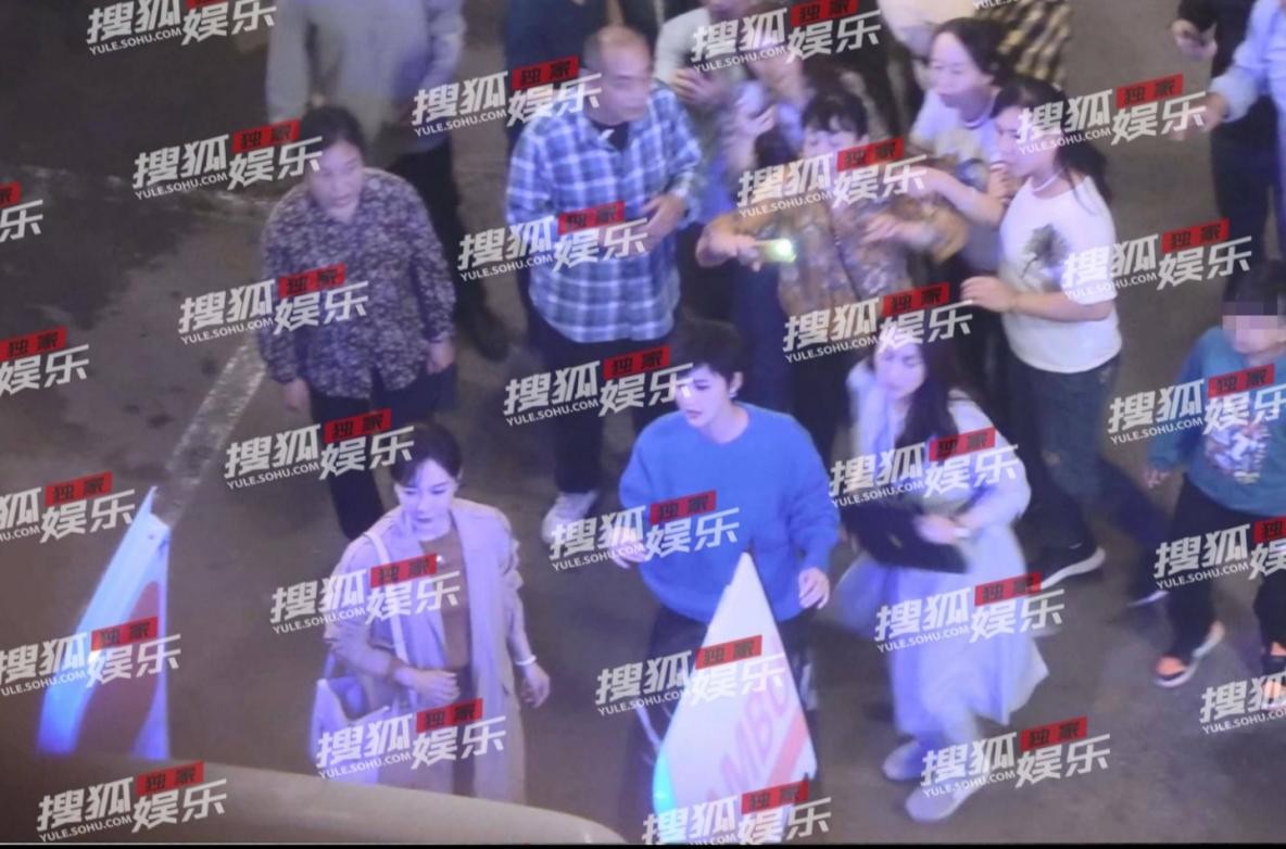 陈数张歆艺马苏罕同框，3人生图状态气质优雅，都市造型精致干练