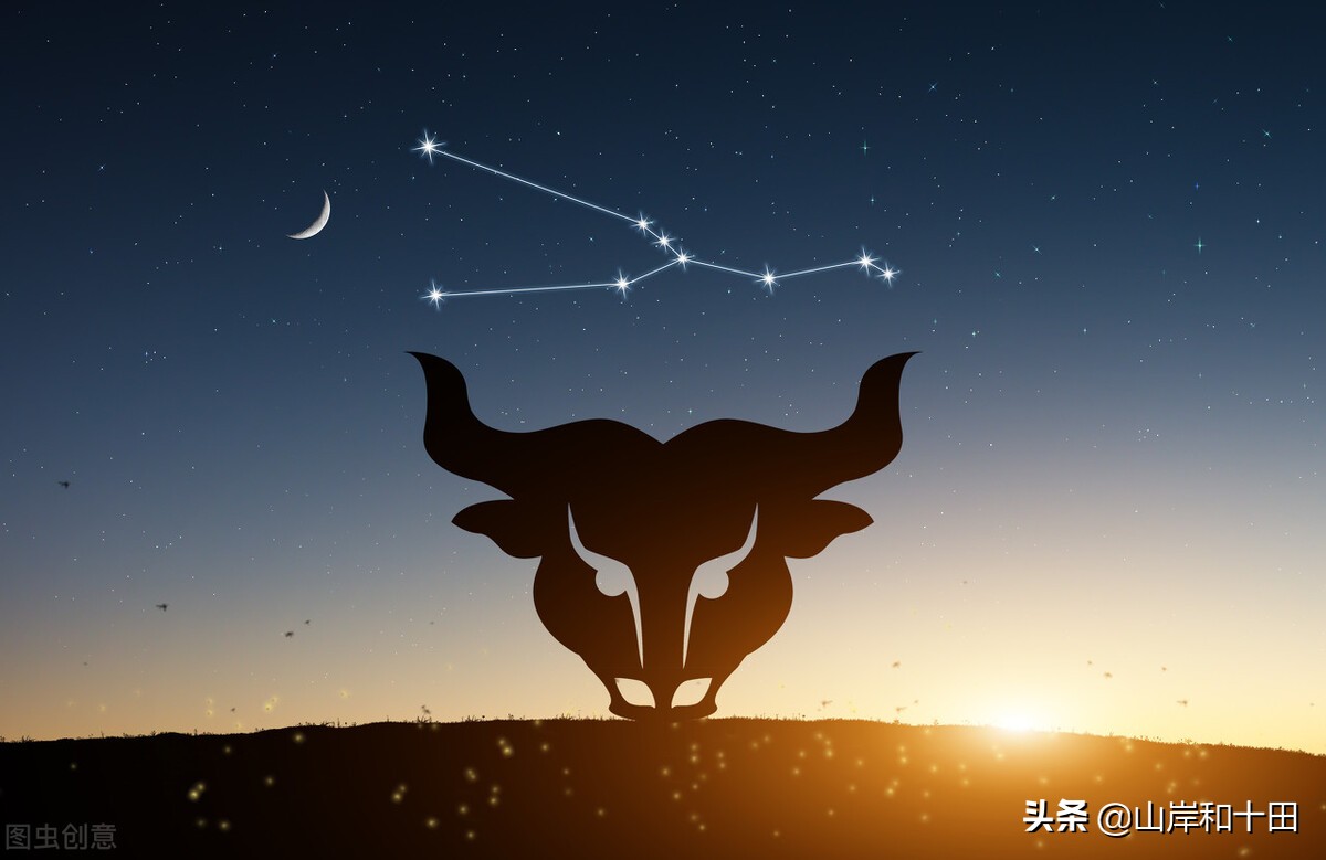 金牛座性格中的另一面