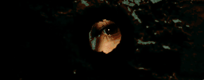 �ÿ�������Ƭ��ȫ(��TM�̼���7��������������������Ƭ����Ц��)