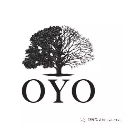 最佳美国伏特加大盘点