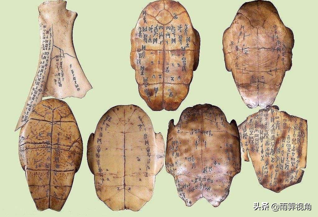 2009年高考，那个作文写甲骨文还跑题，却被川大录取的人后来怎样