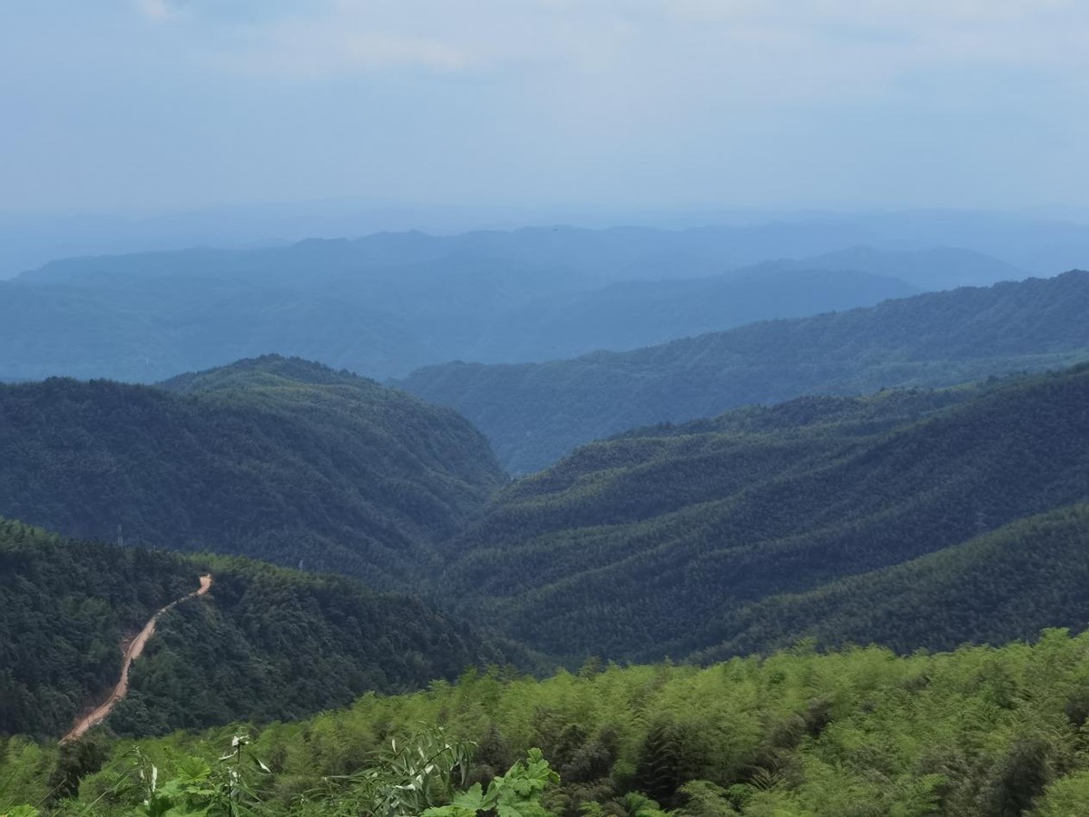 自驾探访天鹅湖，百余公里轻松搞定