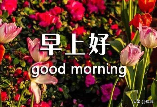 早安心语：再苦再累，只要坚持往前走，属于你的风景终会出现