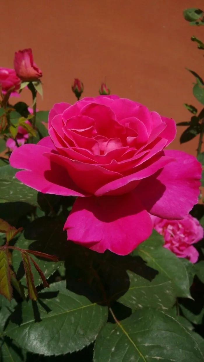 守信，对于做人做事的普遍性意义，经典故事(有关诚信的道理论据)