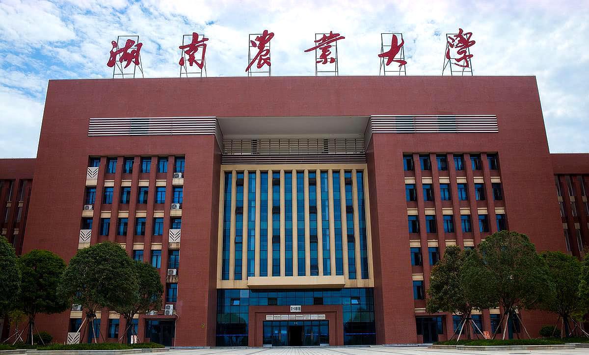 5所大学的学位授权点被“亮红牌”，还有6所更是被直接“罚下场”