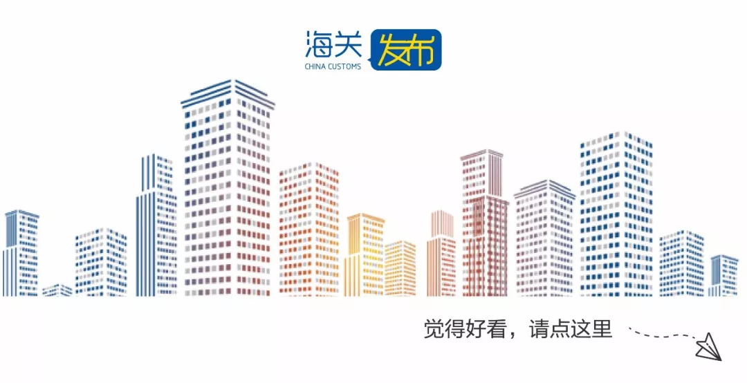海关知识产权保护,海关知识产权保护系统查询