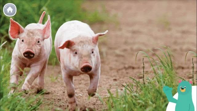 Khan Academy Kids—人手必装的免费启蒙APP