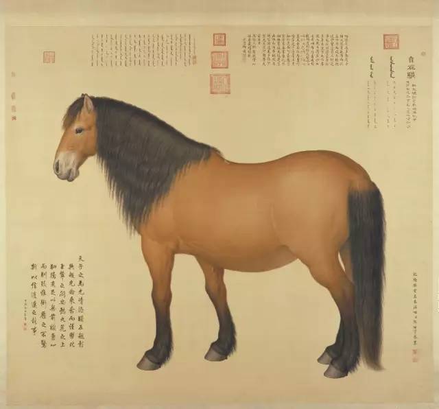 中国古今名家笔下的骏马，纵横驰骋