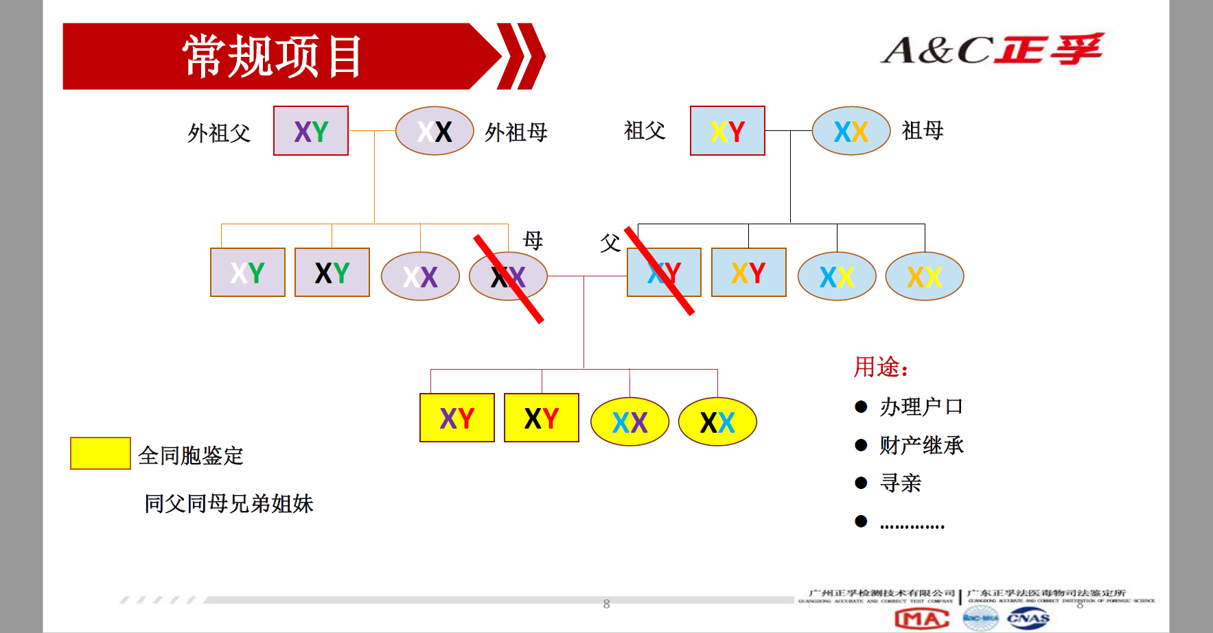 亲缘鉴定,亲缘鉴定和亲子鉴定的区别