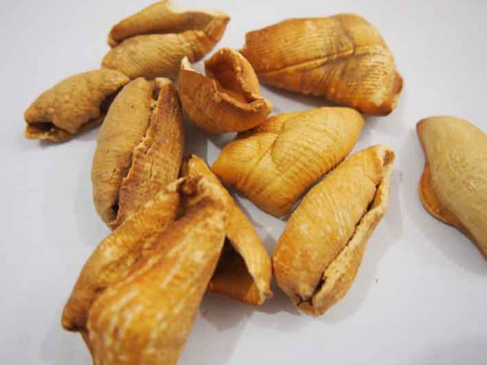 甲珠的功效与作用(8吨穿山甲鳞片为何都流向安徽)