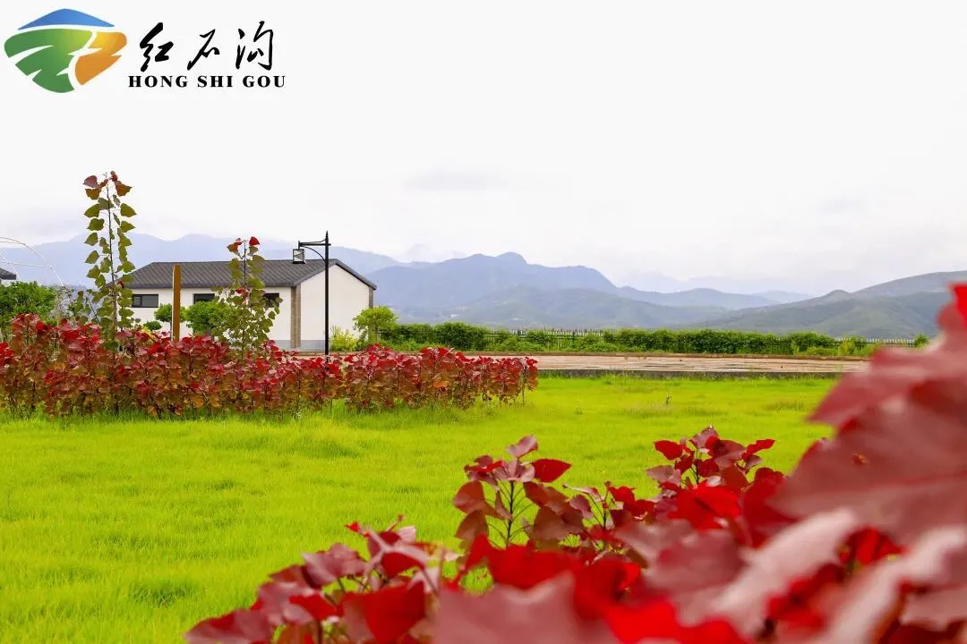 8月27日·河北要闻及抗击肺炎快报