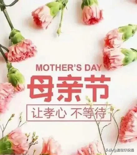 对母亲说的感恩的话（感恩母爱最朴实的句子） 第11张