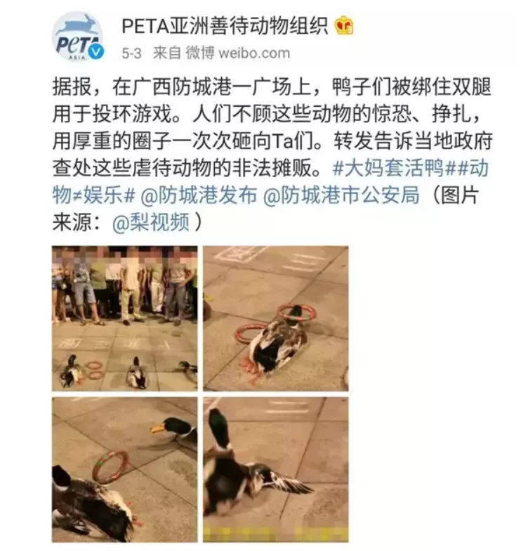 行骗41年，遭中国封杀！被脑残粉捧起来的无耻网红，原形毕露