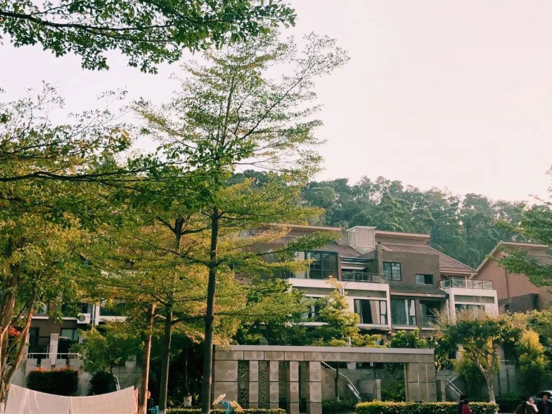 老破小一平10万+！我们走遍厦门18所名校，为你曝光最贵学区房！