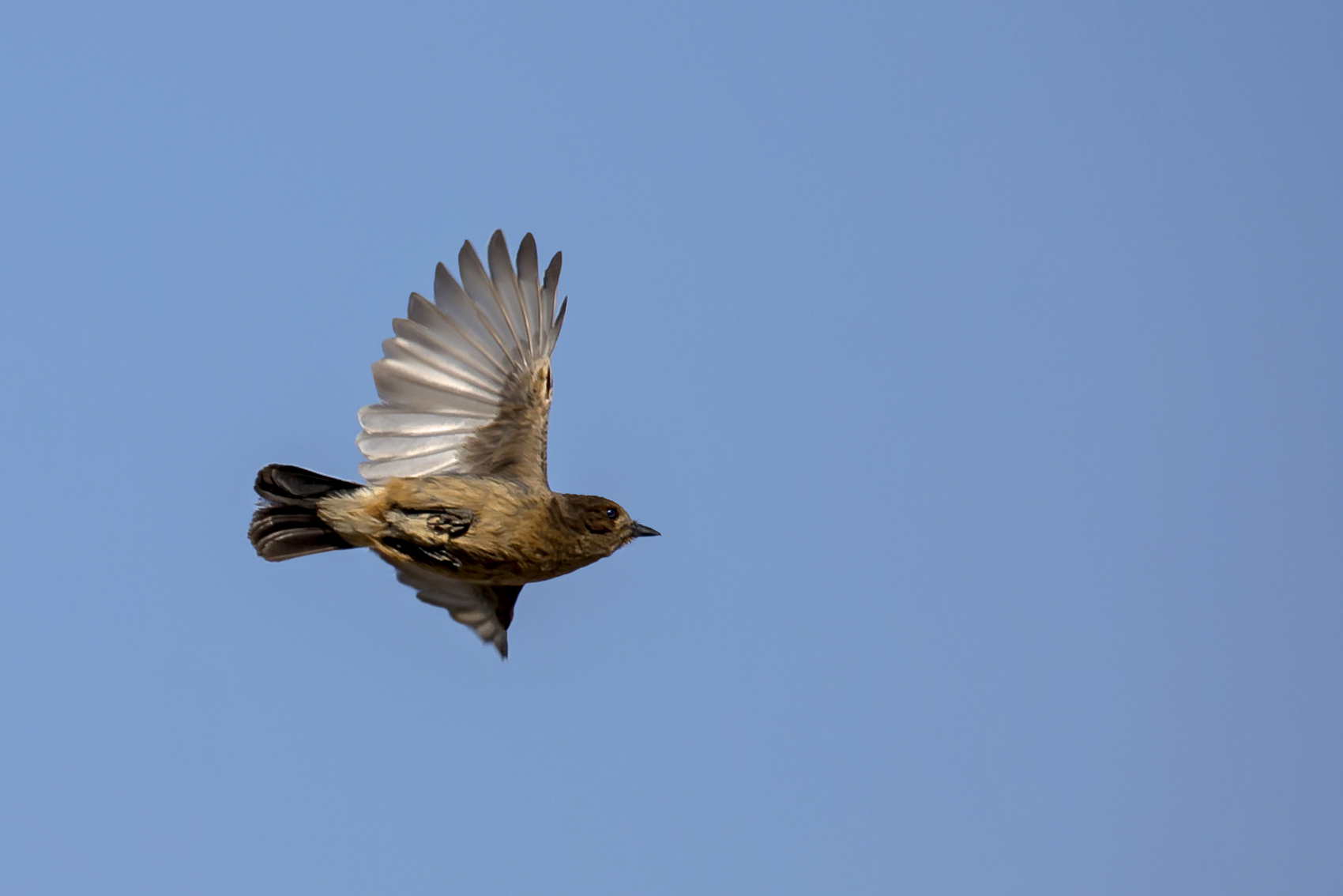 工程类大学排名：中国56所大学上榜，清华世界第10！