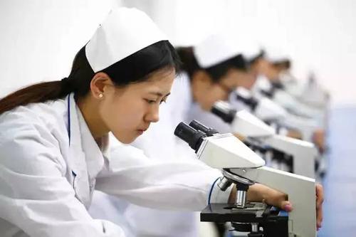 2020高考：药学专业大学排名，药学专业就业方向