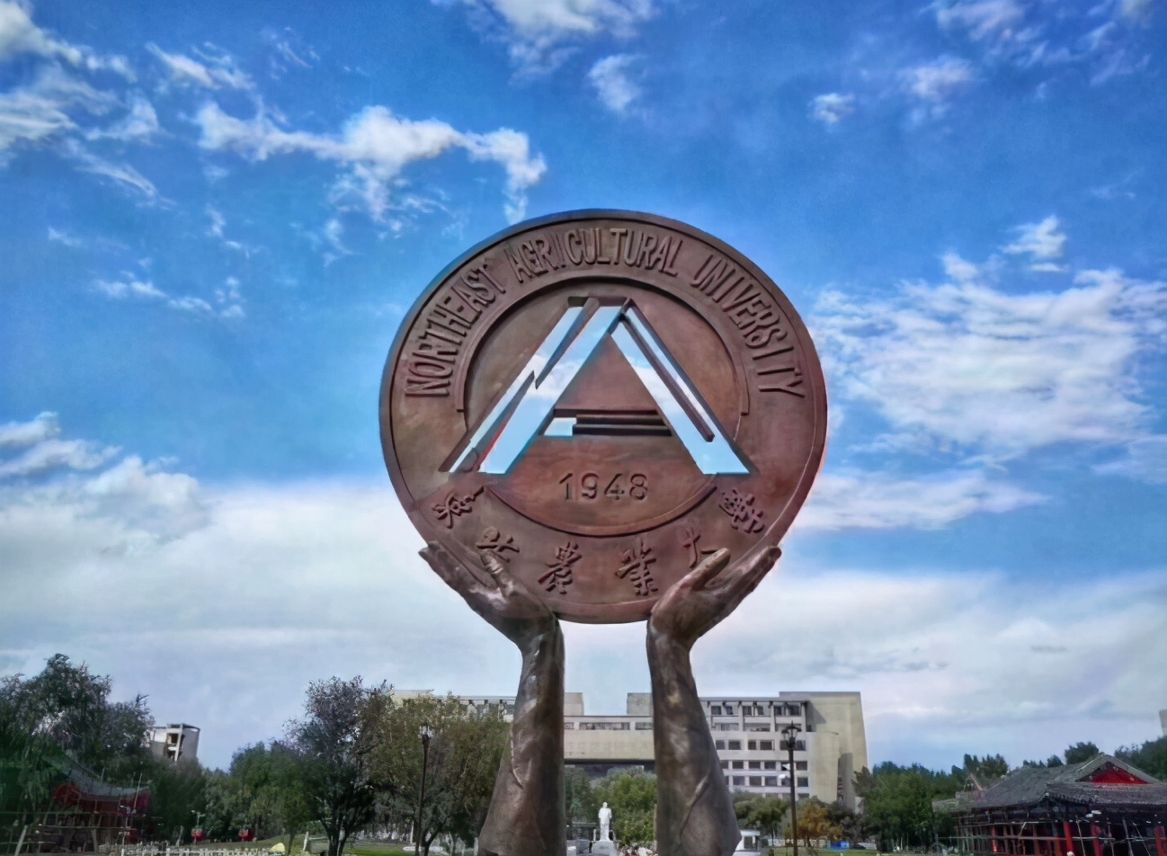 想考本科第二学历，福利来了，东北农业大学211院校来了解下吧