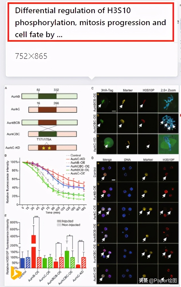 “全网为你搜图”——这个功能太棒了